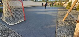 Pelix multisport off-ice